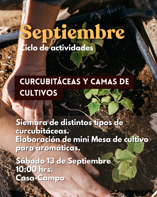 Curso Presencial SEPTIEMBRE Compartir la Huerta