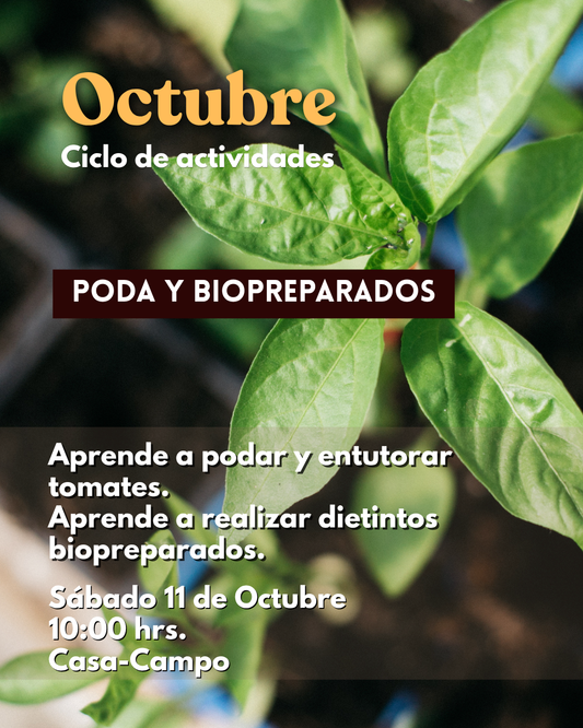 Curso Presencial OCTUBRE Compartir la Huerta
