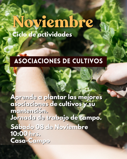Curso Presencial NOVIEMBRE Compartir la Huerta