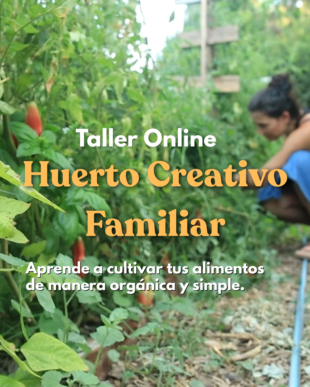 Curso Online de Huerto Familiar