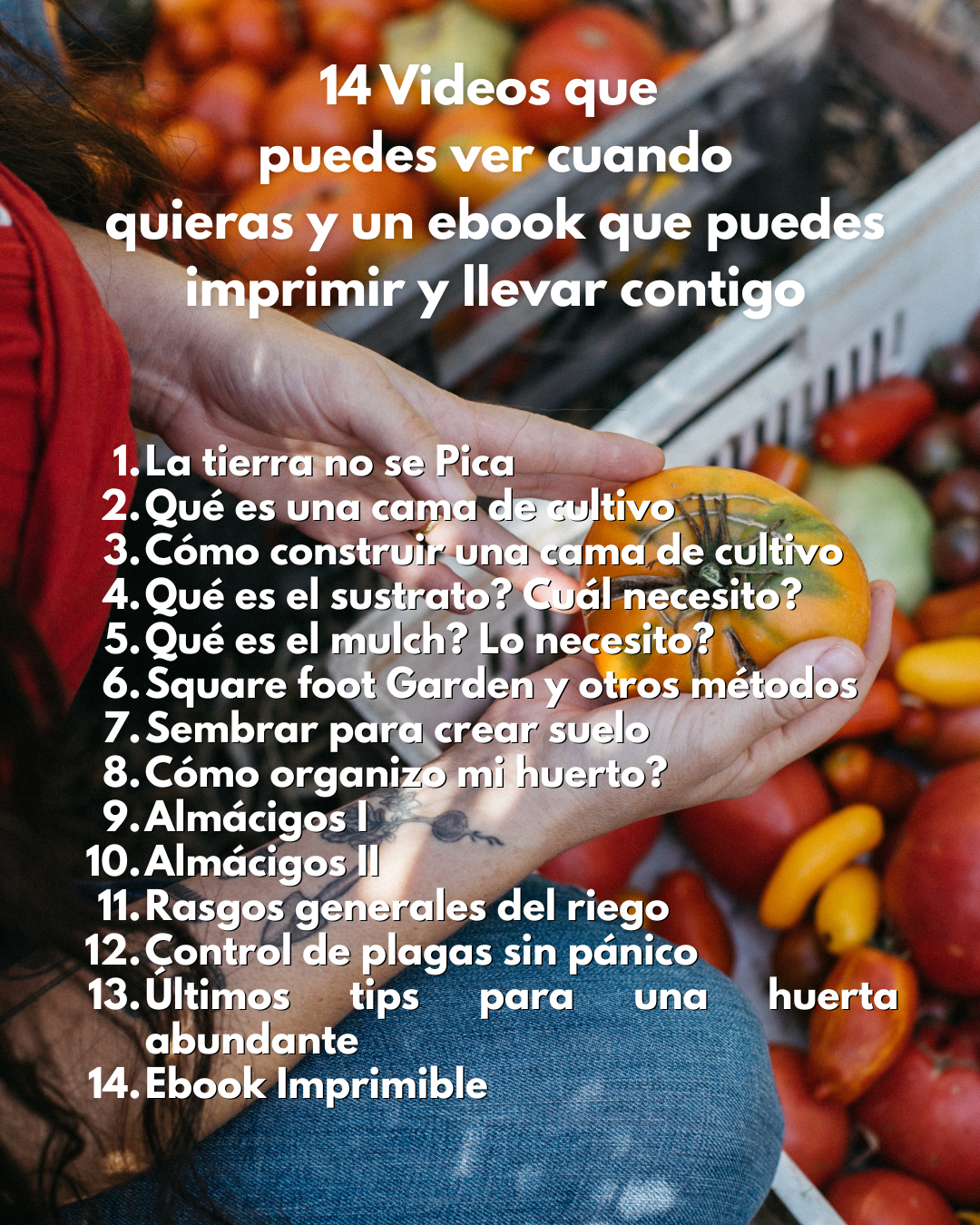 Curso Online de Huerto Familiar