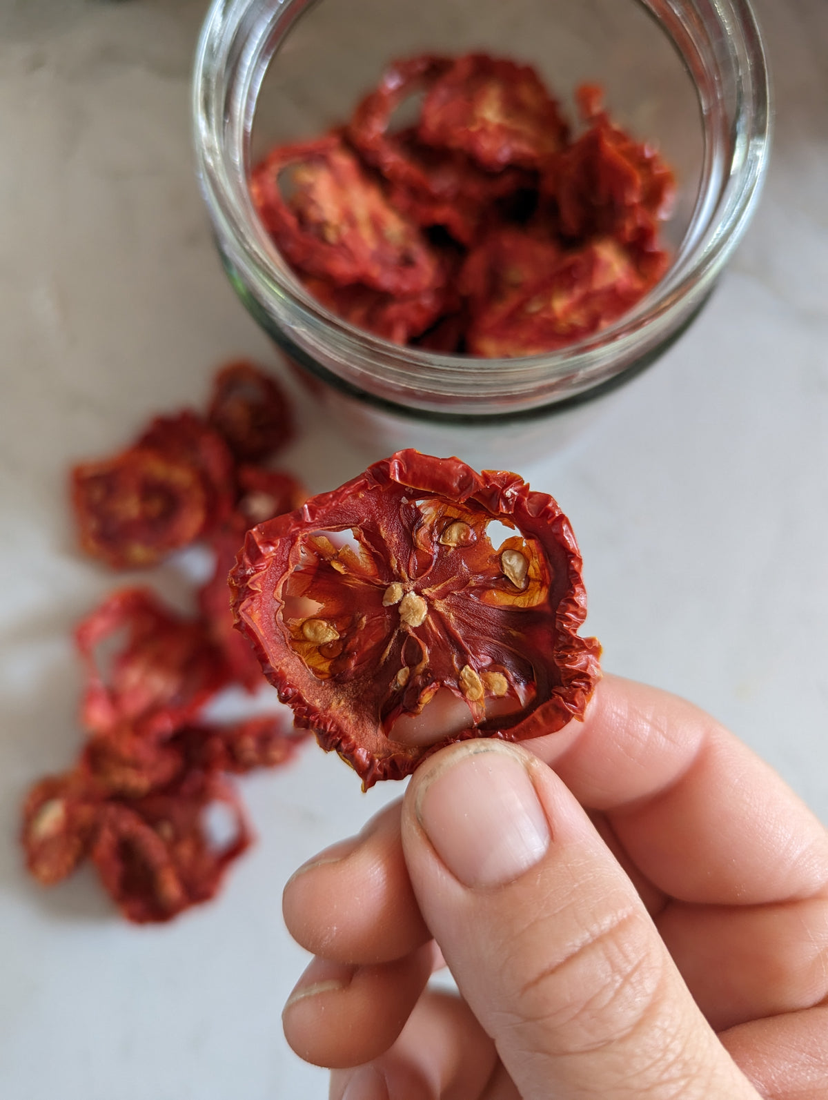 CURSO ONLINE CULTIVO DE TOMATES | Los Reyes del Verano