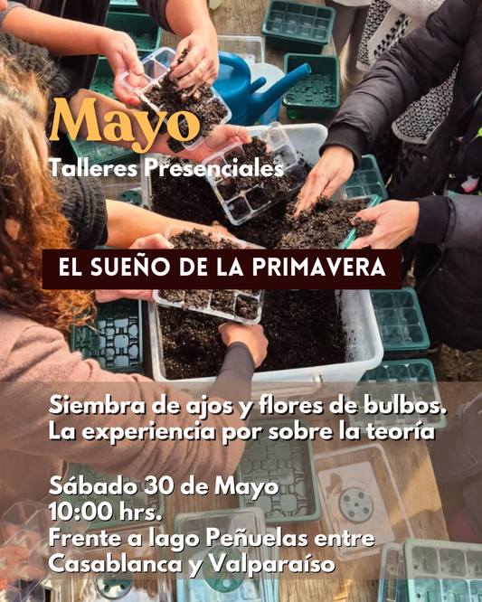 Taller Presencial MAYO | Compartir la Huerta
