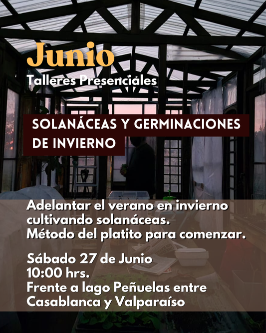 Taller Presencial JUNIO| Compartir la Huerta