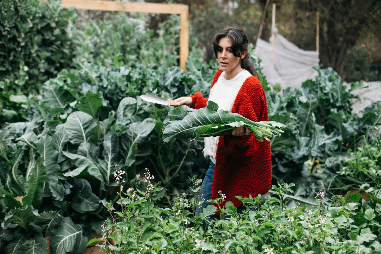 Sesión Online (1 hora) Asesoría de Huerta Familiar y Conservas