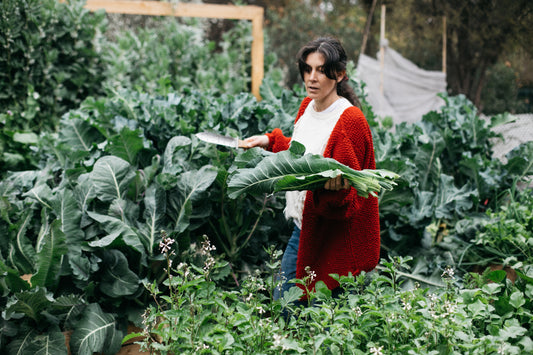Sesión Online (1 hora) Asesoría de Huerta Familiar y Conservas