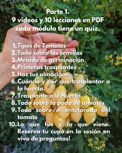 CURSO ONLINE CULTIVO DE TOMATES | Los Reyes del Verano