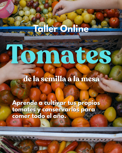 CURSO ONLINE CULTIVO DE TOMATES | Los Reyes del Verano