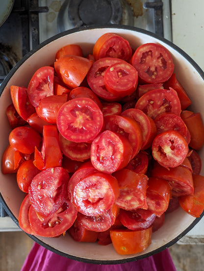 CURSO ONLINE CULTIVO DE TOMATES | Los Reyes del Verano