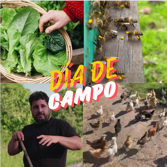 Día de Campo
