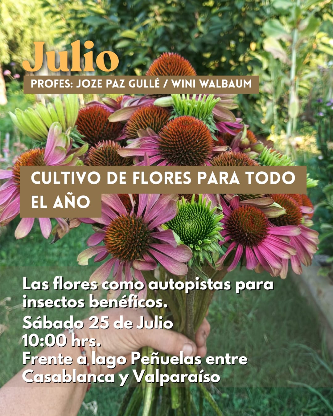 Taller Presencial JULIIO | Compartir la Huerta