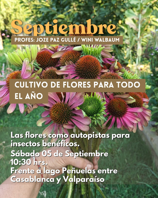 Taller Presencial SEPTIEMBRE | Compartir la Huerta